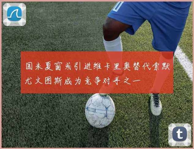 国米夏窗或引进维卡里奥替代索默尤文图斯成为竞争对手之一