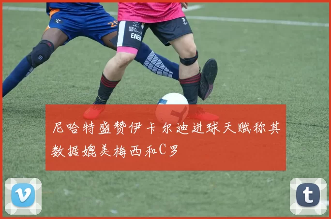 尼哈特盛赞伊卡尔迪进球天赋称其数据媲美梅西和C罗
